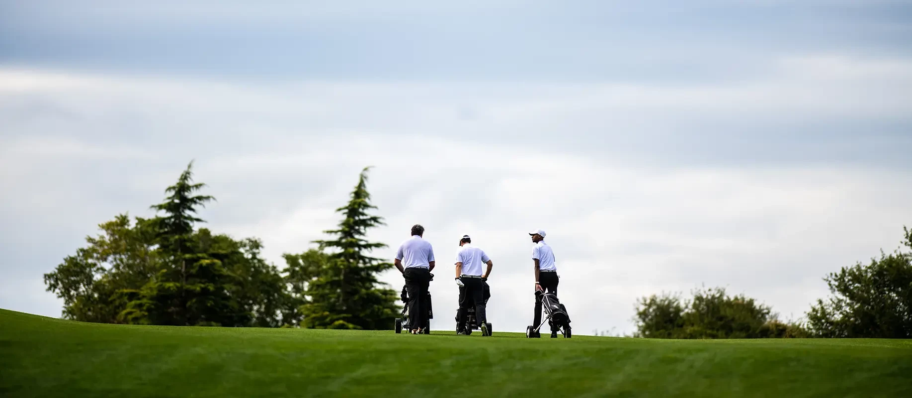 The Princess of Monaco cup